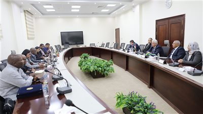 وزير التعليم العالي يبحث سُبل التعاون مع وزير العلوم والتكنولوجيا والابتكار بجنوب إفريقيا