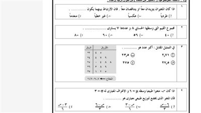 نموذج الوزارة الأول في الإحصاء الثانوية العامة 2025.. حمل الآن