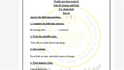 مراجعات نهائية.. تقييمات الأسبوع الثالث في العلوم لغات ترم ثاني الصف الرابع الابتدائي