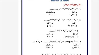 مراجعات نهائية.. تقييمات الأسبوع الثالث المهارات المهنية ترم ثاني الصف الرابع الابتدائي