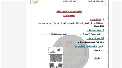 مراجعات نهائية.. أسئلة تقييمات الأسبوع الثالث اللغة العربية ترم ثاني الصف الثاني الابتدائي