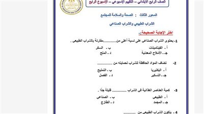 مراجعات نهائية.. تقييمات الأسبوع الرابع المهارات المهنية ترم ثاني الصف الرابع الابتدائي