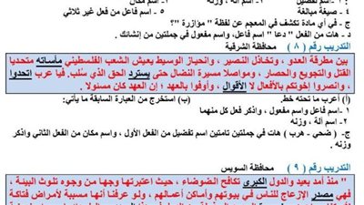 مراجعات نهائية.. 440 قطعة نحو لن يخرج عنها امتحان الشهادة الاعدادية