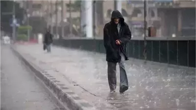 حالة الطقس اليوم الخميس 20 مارس 2025.. نشاط رياح شديد 