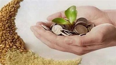 كل ما تحتاج معرفته عن زكاة الفطر في 9 أسئلة وإجاباتهم