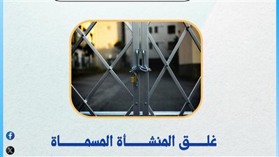 التعليم العالى: غلق كيانين وهميين جديدين بالإسكندرية