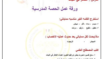 تقييمات الأسبوع العاشر العلوم لـ الصف الثاني الإعدادي