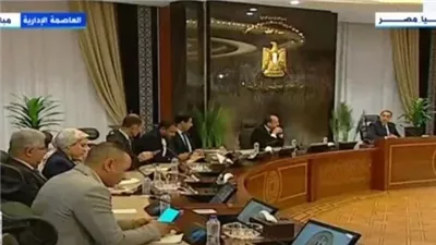 رئيس الوزراء يعلن إضافة 1150 ميجا إلى شبكة الكهرباء استعدادا لفصل الصيف