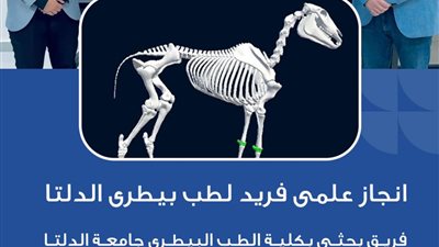 الهيكل العظمي الناطق للحصان.. نقلة نوعية بالتعليم البيطري في جامعة الدلتا