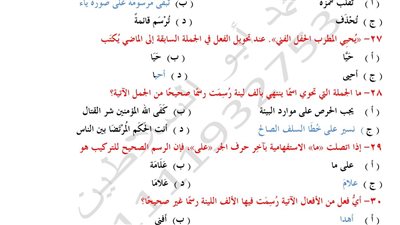 الثانوية العامة 2025.. 500 سؤال بالاجابات في النحو مش هتقدر تفوتها