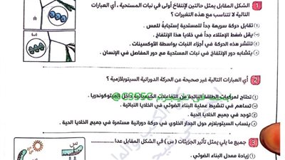 مراجعة ليلة الامتحان تحميل مذكرة الاحياء لـ الثانوية العامة 2025
