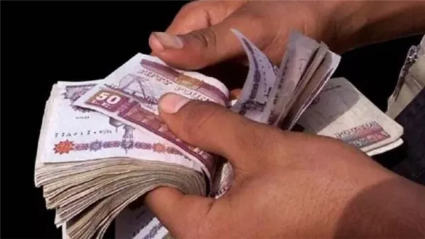 مرتبات شهر مارس 2026    