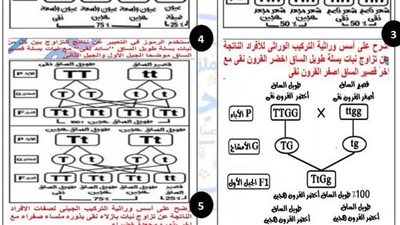 أبرز 5 مسائل وراثية متوقع في العلوم لـ الصف الثالث الاعدادي