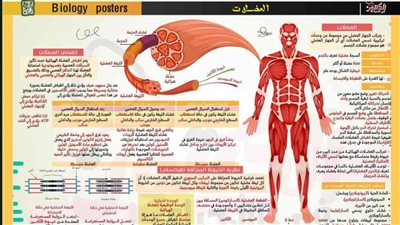 16 ورقة في مراجعة ليلة امتحان الأحياء لـ الثانوية العامة 2025