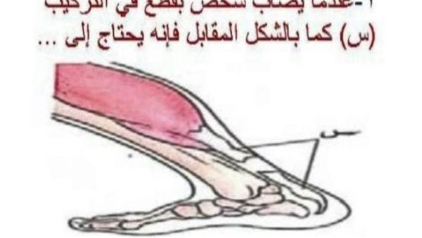 مراجعة ليلة امتحان