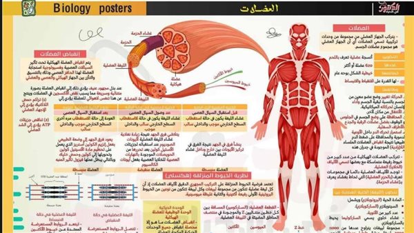 مراجعة ليلة امتحان