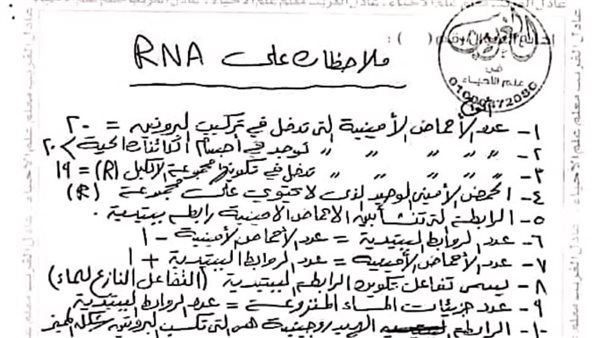 مراجعة ليلة امتحان