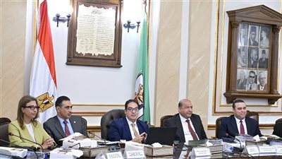 مجلس جامعة القاهرة يهنئ فخامة الرئيس السيسي بثورة يوليو ويستعرض إنجازات العام الجامعي