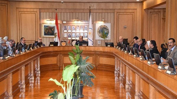 رئيس جامعة حلوان