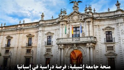 كيف احصل على منحة دراسية مجانية؟ كيفية التسجيل في منحة جامعة إشبيلية 2025 ممولة بالكامل والشروط