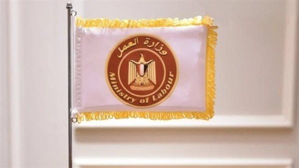 شروط التقديم في وظائف