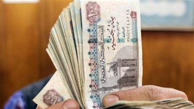 كيفية استعلام فوري عن معاشك بالرقم القومي 2025 عبر موقع الهيئة القومية للتأمين