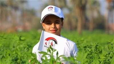 موعد صرف معاش تكافل وكرامة أكتوبر 2025.. اعرف الفئات المستفيدة 