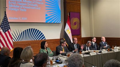 وزير المالية: الاقتصاد المصري ينمو بخطى جيدة ومشجعة فى بيئة أعمال أكثر تنافسية 