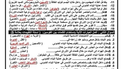 مراجعات نهائية.. 210 أسئلة وإجابتها في العلوم لـ الصف الخامس الابتدائي