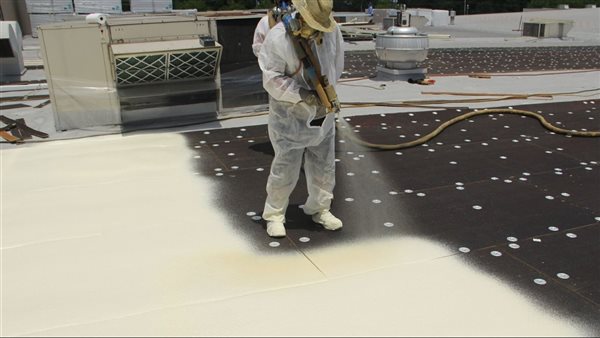 تعرف على أفضل أنواع