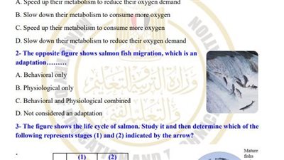 مراجعات نهائية.. أسئلة تقييم الأسبوع السادس العلوم المتكاملة لغات الصف الأول الثانوي 