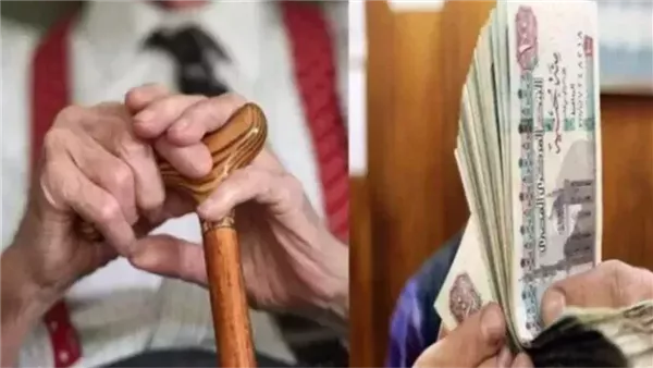 معاشات ديسمبر 2025