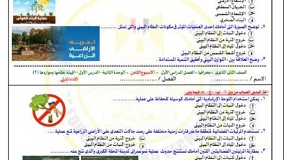 مراجعات نهائية.. أسئلة تقييم الأسبوع الثامن جغرافيا التنمية الصف الثاني الثانوي