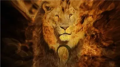 كيف يستثمر مواليد برج الأسد فرص الخميس 13 نوفمبر 2025؟ توقعات برج الأسد حظك اليوم تكشف