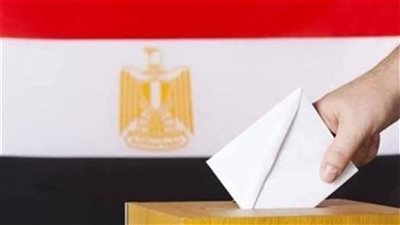 كيفية الاستعلام عن لجنتك الانتخابية عبر موقع الهيئة.. الرابط مباشر