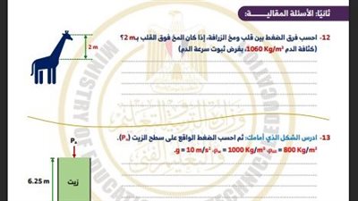 مراجعات نهائية.. أسئلة تقييم الأسبوع التاسع الفيزياء الصف الثاني الثانوي