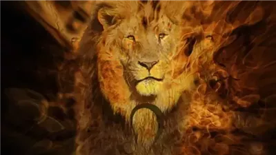 إشارات مهمة يجب أن تنتبه لها.. توقعات برج الأسد حظك اليوم الخميس 20 نوفمبر 2025