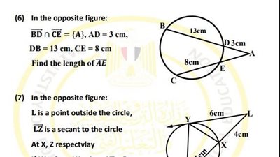 أسئلة تقييم الأسبوع العاشر الرياضيات لغات الصف الأول الثانوي