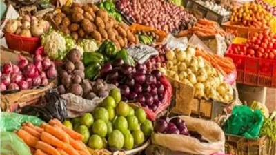 سعر الطماطم والخيار والخضار في الأسواق اليوم الخميس 27 نوفمبر 2025