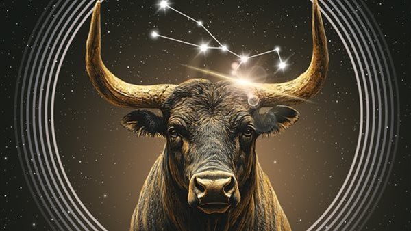 توقعات برج الثور