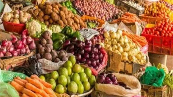 سعر الطماطم والخيار