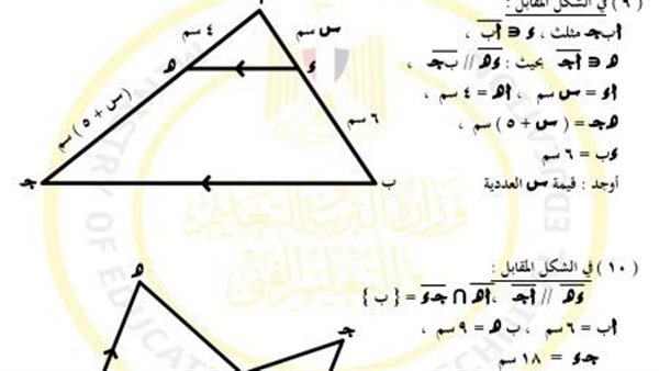 تقييمات الأسبوع الـ