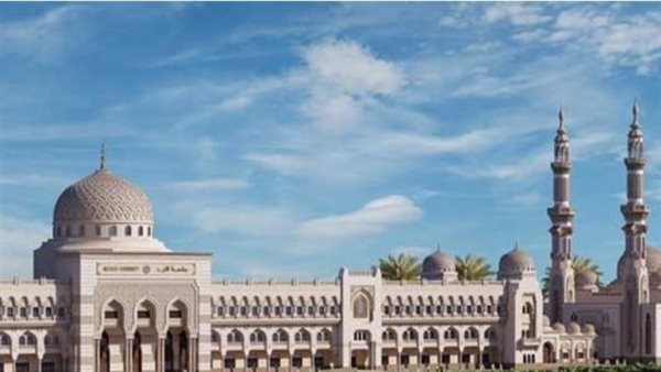 جامعة الذيد