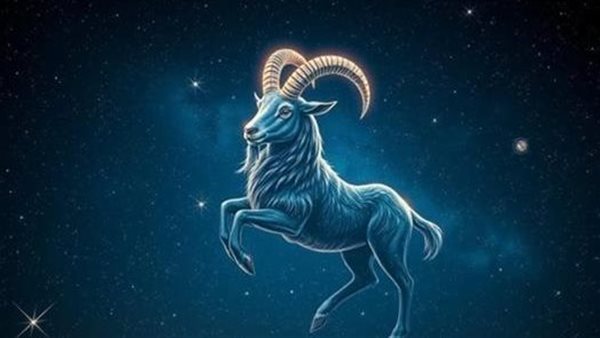 توقعات برج الجدي