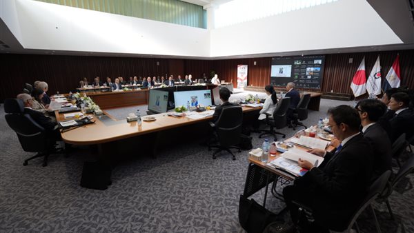 الجامعة المصرية اليابانية