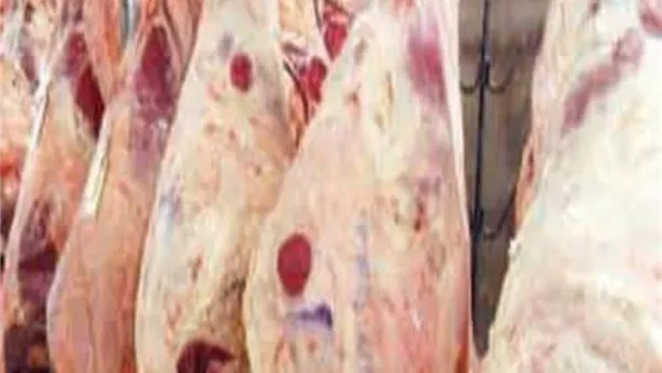 أسعار اللحوم    