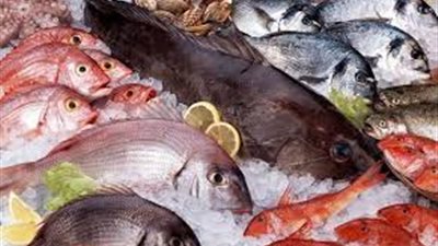 مطروح.. أسعار السمك اليوم تتراوح بين 50 و550 جنيه