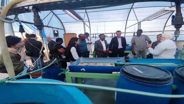 المعهد القومي لعلوم