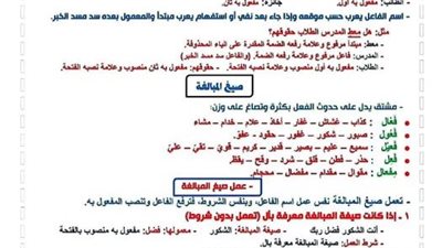 روشتة التفوق لن يخرج عنها امتحان اللغة العربية لـ الصف الأول الثانوي