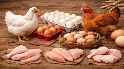 تعرف على أسعار الفراخ اليوم الأربعاء 7 يناير 2026